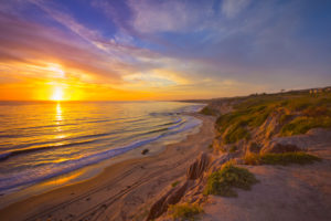 Scripps Bluff Del Mar